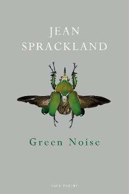 Book cover for Green Noise