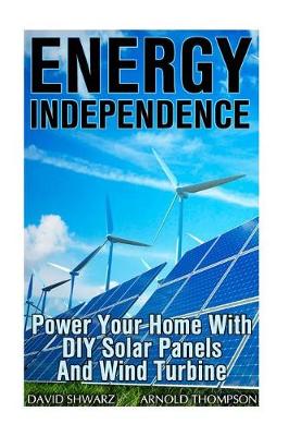 Book cover for Energy Independence