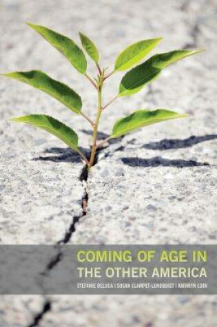 Cover of Coming of Age in the Other America