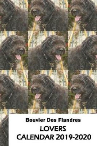 Cover of Bouvier Des Flandres Lovers Calendar 2019-2020