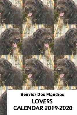 Book cover for Bouvier Des Flandres Lovers Calendar 2019-2020