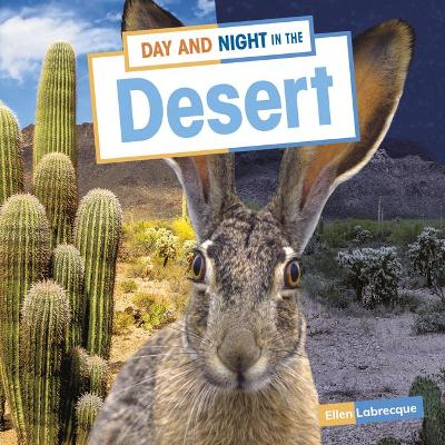 Book cover for Day and Night in the Desert