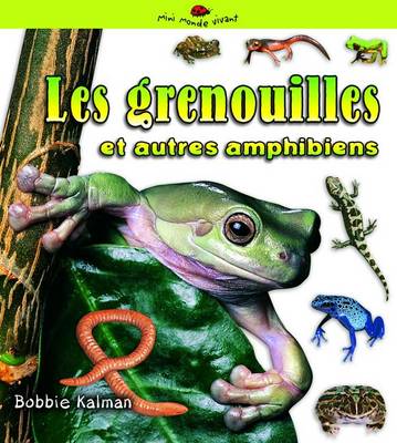 Book cover for Les Grenouilles Et Autres Amphibiens
