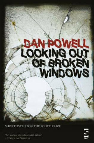 Cover of Looking Out Of Broken Windows