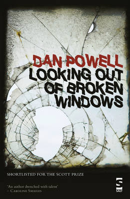 Book cover for Looking Out Of Broken Windows