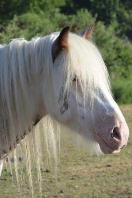 Book cover for Sweet White Horse Portrait in the Sunshine Journal