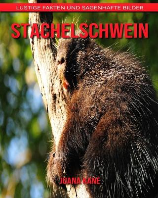 Book cover for Stachelschwein