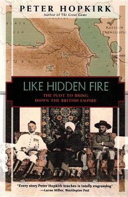 Book cover for Like Hidden Fire