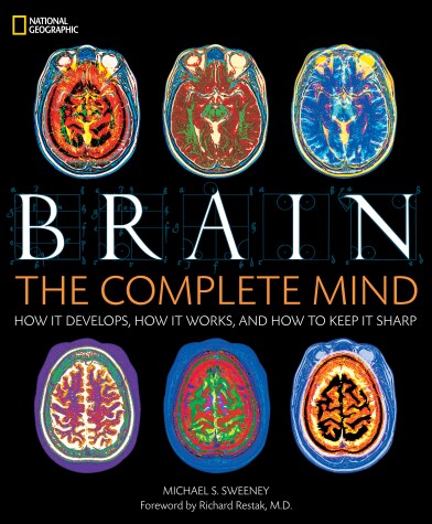 Book cover for Brain