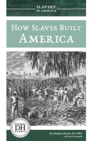 Cover of How Slaves Built America
