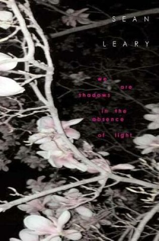 Cover of We Are Shadows In The Absence of Light