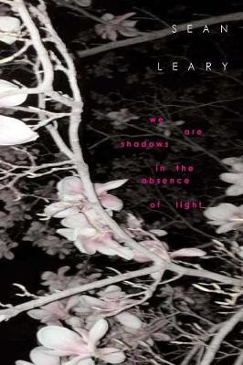 Book cover for We Are Shadows In The Absence of Light