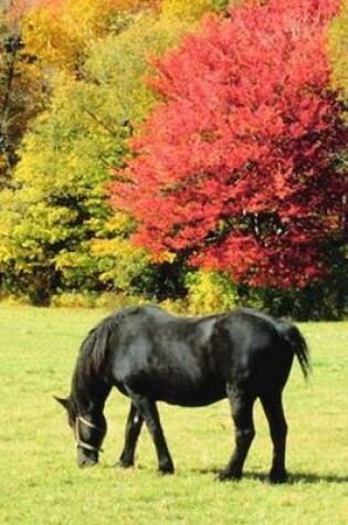 Cover of 2020 Daily Planner Horse Photo Equine Horse Grazing Autumn Scenery 388 Pages