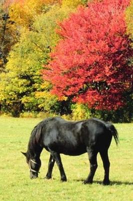 Book cover for 2020 Daily Planner Horse Photo Equine Horse Grazing Autumn Scenery 388 Pages