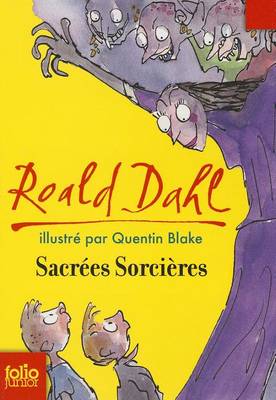 Book cover for Sacrees Sorcieres