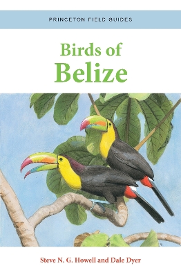 Book cover for Birds of Belize