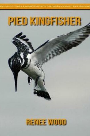 Cover of Pied Kingfisher