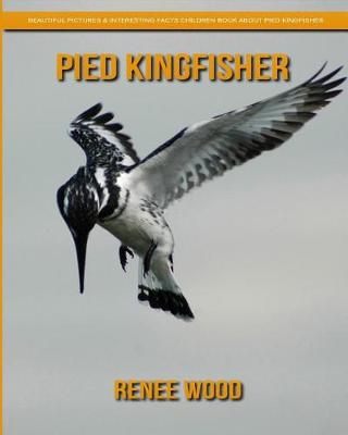 Book cover for Pied Kingfisher