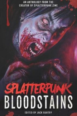 Cover of Splatterpunk Bloodstains