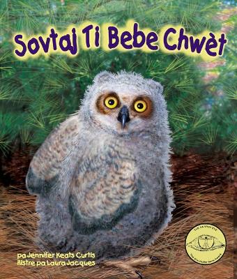 Book cover for Sovtaj Ti Bebe Chw�t