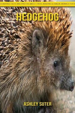 Cover of Hedgehog