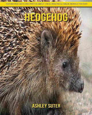 Book cover for Hedgehog