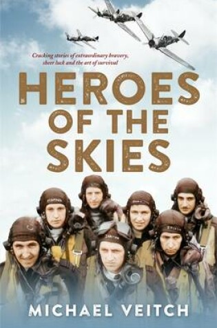 Cover of Heroes of the Skies