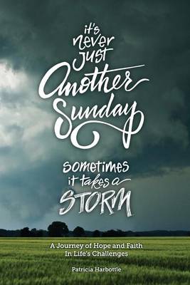 Book cover for It's Never Just Another Sunday