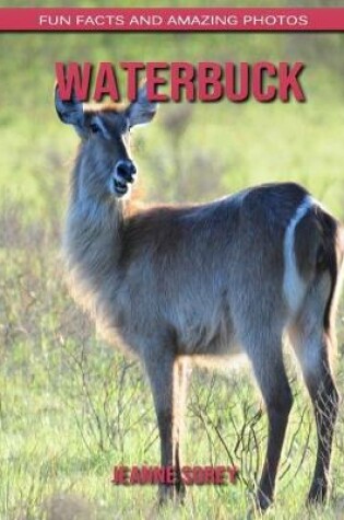 Cover of Waterbuck