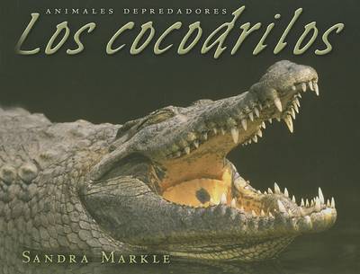 Book cover for Los Cocodrilos