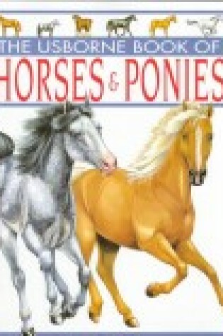 Cover of The Usborne Book of Horses and Ponies