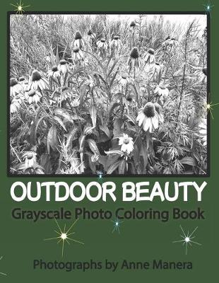 Book cover for Outdoor Beauty Grayscale Photo Coloring Book