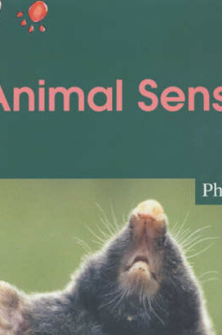Cover of Animal Senses Big Book