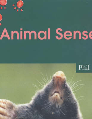 Book cover for Animal Senses Big Book