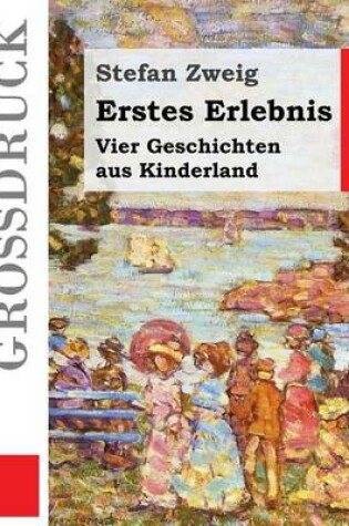 Cover of Erstes Erlebnis (Grossdruck)