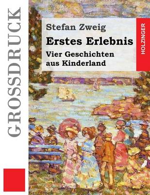 Book cover for Erstes Erlebnis (Großdruck)