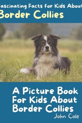 Cover of A Picture Book for Kids About Border Collies