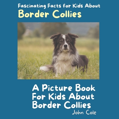 Book cover for A Picture Book for Kids About Border Collies