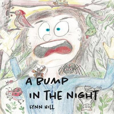 Book cover for A Bump In The Night