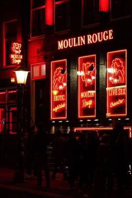 Book cover for The Red Light District in Amsterdam, Netherlands