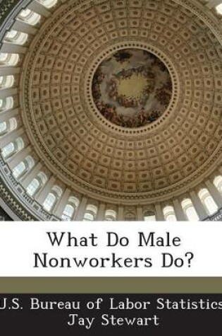 Cover of What Do Male Nonworkers Do?