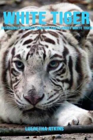 Cover of White Tiger