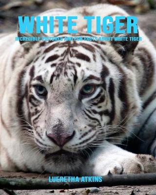 Book cover for White Tiger