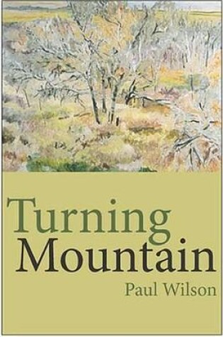 Cover of Turning Mountain