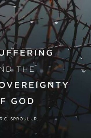 Cover of Suffering and the Sovereignty of God