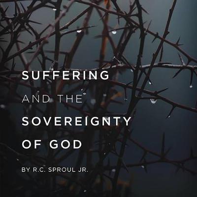 Book cover for Suffering and the Sovereignty of God