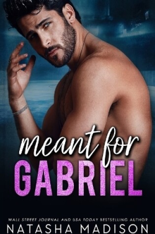 Cover of Meant For Gabriel