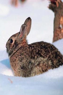 Cover of Journal Winter Rabbit Snow