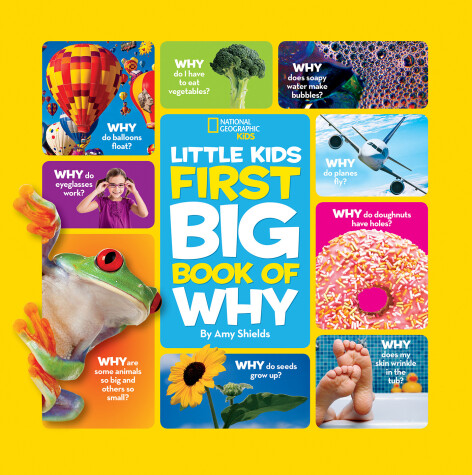 Book cover for National Geographic Little Kids First Big Book of Why