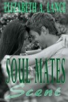 Book cover for Soul Mates Scent